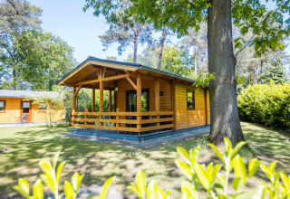 Cabaña de madera con porche delantero, rodeada de árboles y vegetación en Buitencentrum Hessenheem.