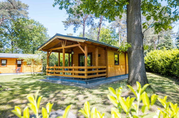 A wooden cabin with a front porch surrounded by trees and greenery at Buitencentrum Hessenheem holiday park.