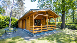 Vista exterior de una cabaña wellness en Buitencentrum Hessenheem, Países Bajos, rodeada de árboles.