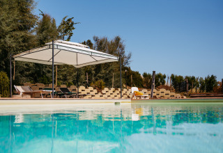 Zwembad bij Agricola La Casetta vakantiepark in Marche, Italië, met ligstoelen en zonnescherm op een zonnige dag.