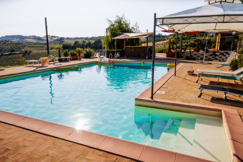 Buitenzwembad met ligstoelen bij Agricola La Casetta vakantiepark in het heuvelachtige Marche, Italië.