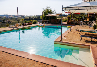 Buitenzwembad met ligstoelen bij Agricola La Casetta vakantiepark in het heuvelachtige Marche, Italië.