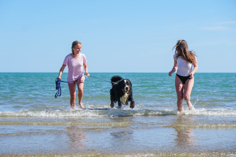 Deux femmes et un chien s’amusent dans l’eau au Camping Union Lido Mare, un parc de vacances en Vénétie, Italie.