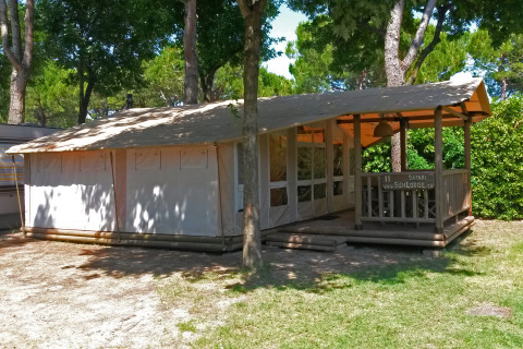 Imagen de una cabaña Sunlodge Safari rodeada de árboles, ideal para una cómoda experiencia al aire libre.