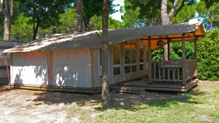 Imagen de una cabaña Sunlodge Safari rodeada de árboles, ideal para una cómoda experiencia al aire libre.