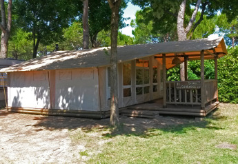 Imagen de una cabaña Sunlodge Safari rodeada de árboles, ideal para una cómoda experiencia al aire libre.