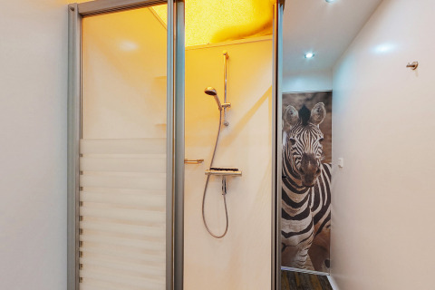 Baño con cabina de ducha y un gran mural de cebra en un alojamiento glamping moderno y elegante.