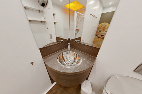 Modern glampingbadkamer met ronde inox wastafel, grote spiegels en een muurtekening van een leeuwenwelp.