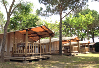 SunLodge Jungle bij Camping Union Lido Mare in Italië, houten lodges omringd door groen en bomen.
