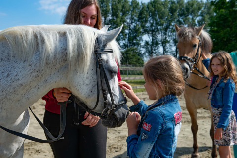 Børn klapper heste i et feriecenter med glamping, mens de nyder det solrige udendørs område.