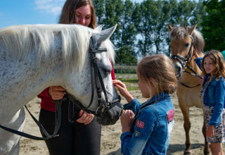 Kinderen aaien paarden op een vakantiepark met glamping, in de zon en het buitenleven.