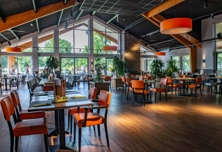 Interior luminoso y moderno de restaurante con grandes ventanales y sillas naranjas en un parque de glamping.