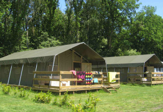 Grandi tende con veranda al Camping Roland, circondate da alberi nel verde Limburg, Paesi Bassi.
