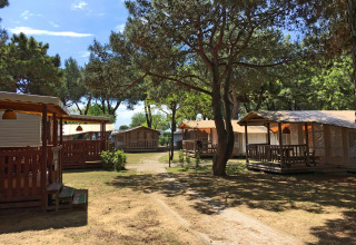 Feriehytter og telte i skyggefuldt område ved Camping Village Cavallino i Veneto, Italien, på en solskinsdag.