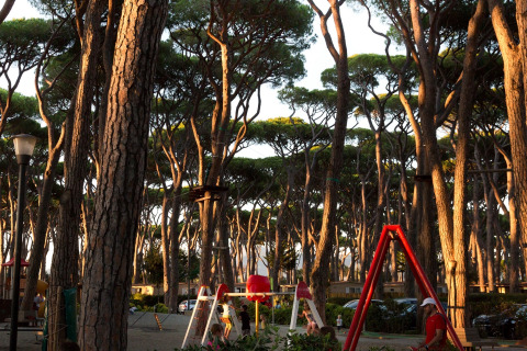 Playground among tall pine trees at hu Park Albatros Village holiday park in Tuscany, Italy, with children playing.
