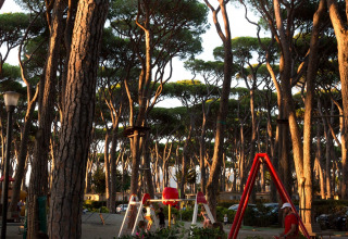 Playground among tall pine trees at hu Park Albatros Village holiday park in Tuscany, Italy, with children playing.