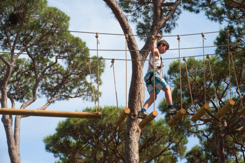 Bambino con imbracatura attraversa percorso avventura sugli alberi a hu Park Albatros Village, Toscana, Italia.