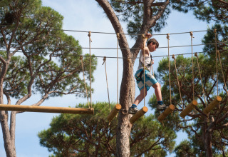 Barn iført sele krydser eventyrbane i trætoppene i hu Park Albatros Village, feriepark i Toscana, Italien.
