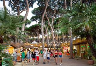 Holiday park scene among pine trees and palms with people walking and shops in hu Park Albatros Village, Tuscany.