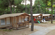 Filas de tiendas SunLodge Jungle en Camping Village Cavallino, Italia, rodeadas de árboles altos y naturaleza.