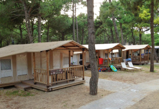 Filas de tiendas SunLodge Jungle en Camping Village Cavallino, Italia, rodeadas de árboles altos y naturaleza.