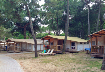 Lodge in tenda con veranda tra pini al SunLodge Jungle, Camping Village Cavallino, Italia.