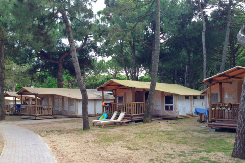 Lodge in tenda con veranda tra pini al SunLodge Jungle, Camping Village Cavallino, Italia.