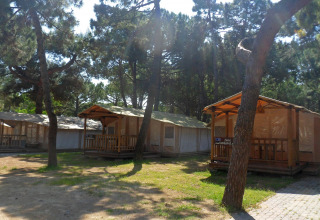 Chalets en bois entourés de pins au SunLodge Jungle, Camping Village Cavallino, Italie, journée ensoleillée.