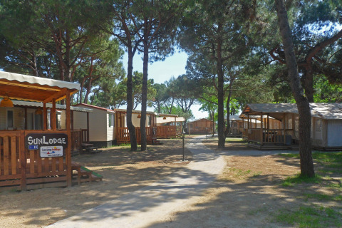 Solrige træhytter og telte under fyrretræer ved SunLodge Safari, Camping Village Cavallino, Italien.