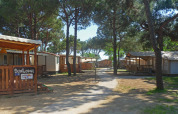 Cabañas de madera y tiendas safari bajo pinos en SunLodge Safari, Camping Village Cavallino, Italia.