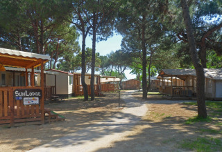Solrige træhytter og telte under fyrretræer ved SunLodge Safari, Camping Village Cavallino, Italien.