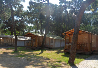 Cabañas de madera en SunLodge Safari, Camping Village Cavallino, Italia, rodeadas de pinos.