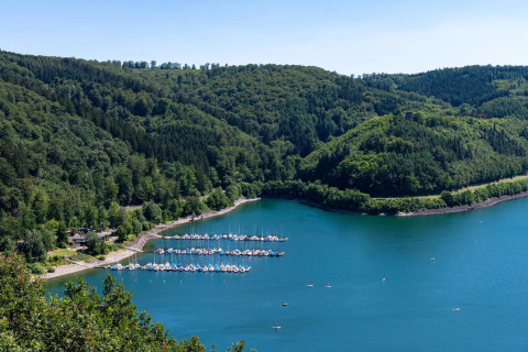 Vista de un lago rodeado de bosque, embarcadero y áreas de glamping en un parque vacacional.