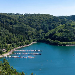 Vista de un lago rodeado de bosque, embarcadero y áreas de glamping en un parque vacacional.