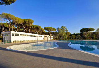 View of the swimming pool and modern facilities at Camping Village Roma Capitol, Tuscany, Italy, among pine trees.