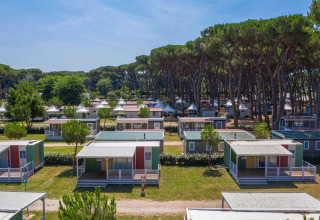 Aerial view of modern cabins surrounded by pine trees at Camping Village Roma Capitol in Tuscany, Italy.