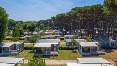 Aerial view of modern cabins surrounded by pine trees at Camping Village Roma Capitol in Tuscany, Italy.