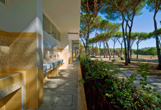 Outdoor washbasins and tiled facilities beside pine trees at Camping Village Roma Capitol in Tuscany, Italy.