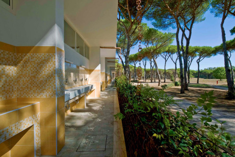 Lavoirs extérieurs et installations carrelées près des pins au Camping Village Roma Capitol en Toscane, Italie.