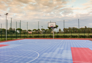 Udendørs basketballbane med blå og røde felter, omgivet af hegn og grønne marker under en skyet himmel.