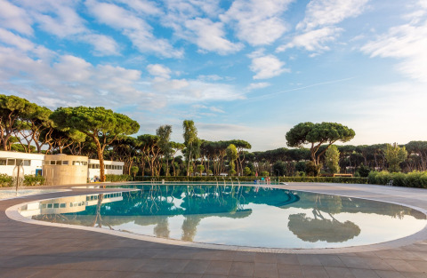 Outdoor swimming pool surrounded by pine trees and modern facilities at Camping Village Roma Capitol, Tuscany.