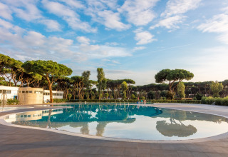 Outdoor swimming pool surrounded by pine trees and modern facilities at Camping Village Roma Capitol, Tuscany.