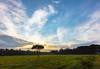 Solnedgang over en grøn mark med træer og spredte skyer ved Camping Village Roma Capitol i Toscana, Italien.