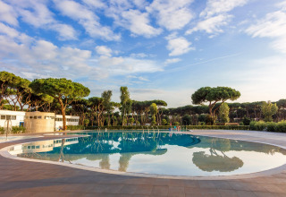 Stort, cirkulært swimmingpool i Camping Village Roma Capitol, omgivet af fyrretræer under en klar himmel.