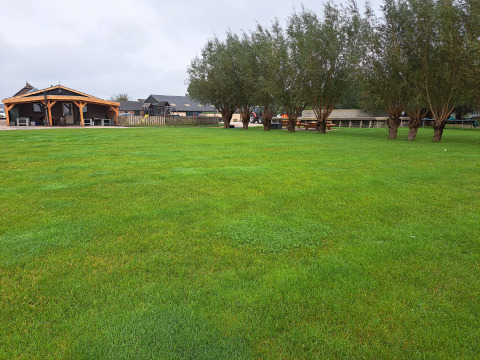 Wide green lawn with trees and wooden shelters at Camping de Speld holiday park in South-Holland, Netherlands.