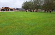 Wide green lawn with trees and wooden shelters at Camping de Speld holiday park in South-Holland, Netherlands.