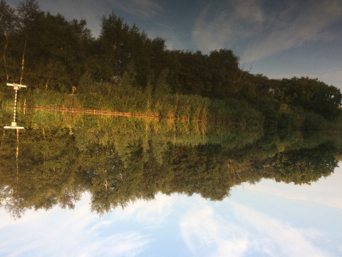 Spiegelung von Bäumen und Himmel im See bei Camping de Speld, Ferienpark in Südholland, Niederlande.