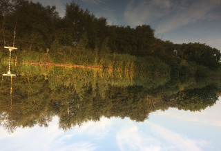 Riflessione di alberi e cielo in un lago presso Camping de Speld, parco vacanze in Olanda Meridionale, Paesi Bassi.