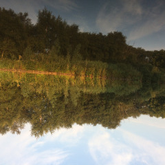 Spiegelung von Bäumen und Himmel im See bei Camping de Speld, Ferienpark in Südholland, Niederlande.