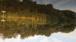 Spiegelung von Bäumen und Himmel im See bei Camping de Speld, Ferienpark in Südholland, Niederlande.